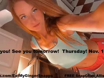 girl
        eatmygingersnapps cam image #2856215