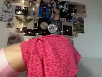 girl
        crown_of_vice01 cam image #184345