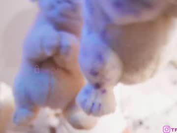 girl
        taanni_bc cam image #3671309