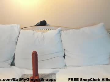 girl
        eatmygingersnapps cam image #3539208