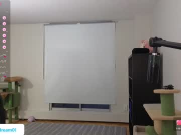 girl
        alexa_dream cam image #3827088