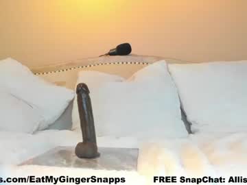 girl
        eatmygingersnapps cam image #4213398