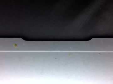 couple Sex Webcams With Notorious Girls with fl3x420