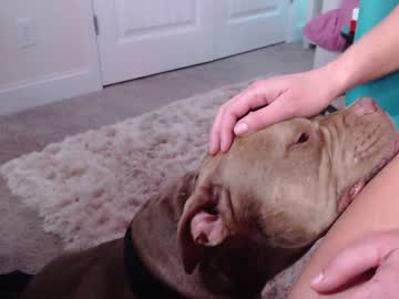 girl
        holihurricane cam image #2824350