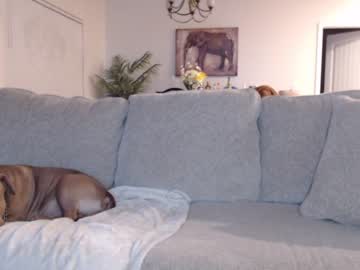 girl
        holihurricane cam image #1508628