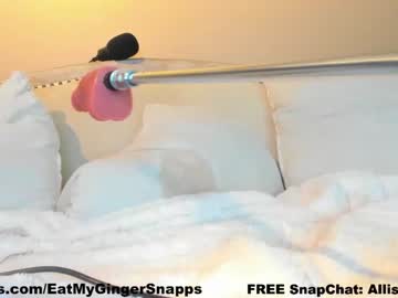 girl
        eatmygingersnapps cam image #3855279