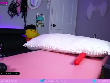 girl
        rosiebones cam image #1514641